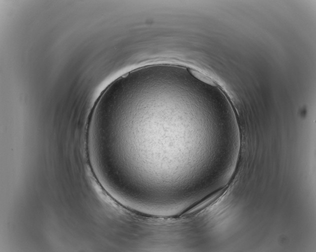 X0000090631534200707241140