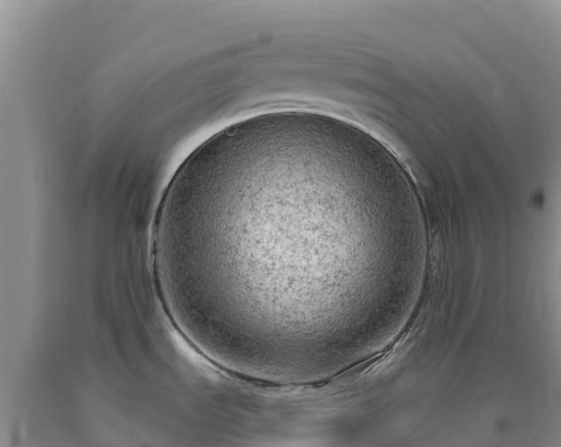 X0000090631535200707241140