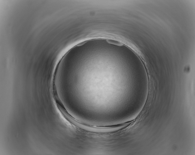 X0000090631536200707241140
