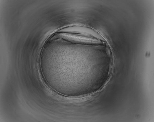 X0000090630001200707311315