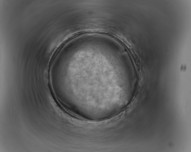 X0000090630002200707311315