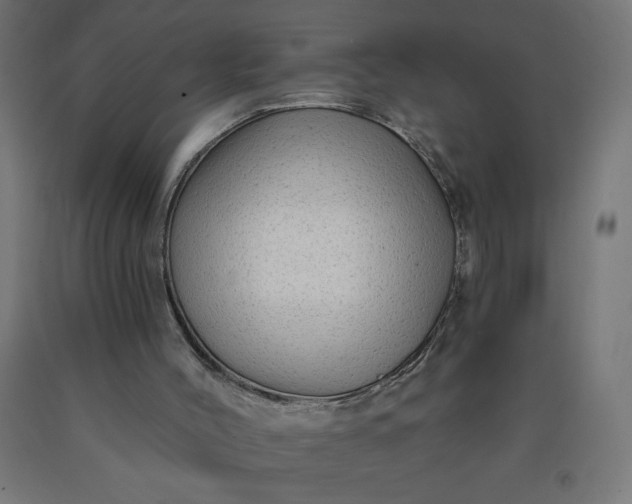 X0000090630004200707311315