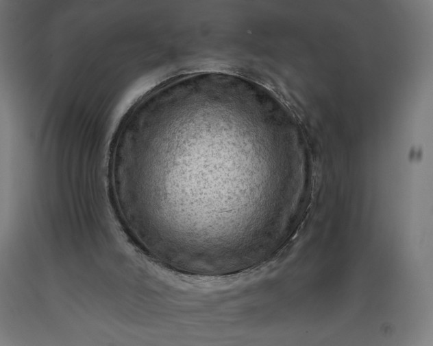 X0000090630006200707311315