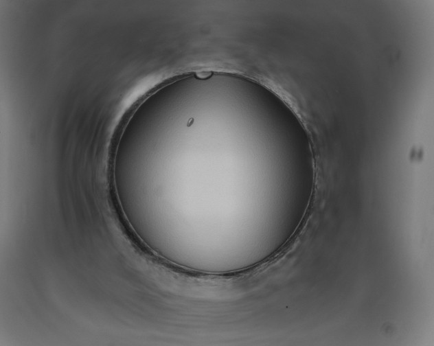 X0000090630008200707311315