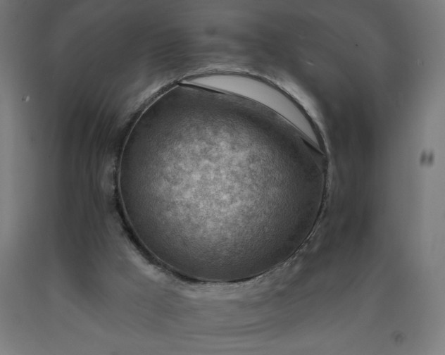 X0000090630009200707311315