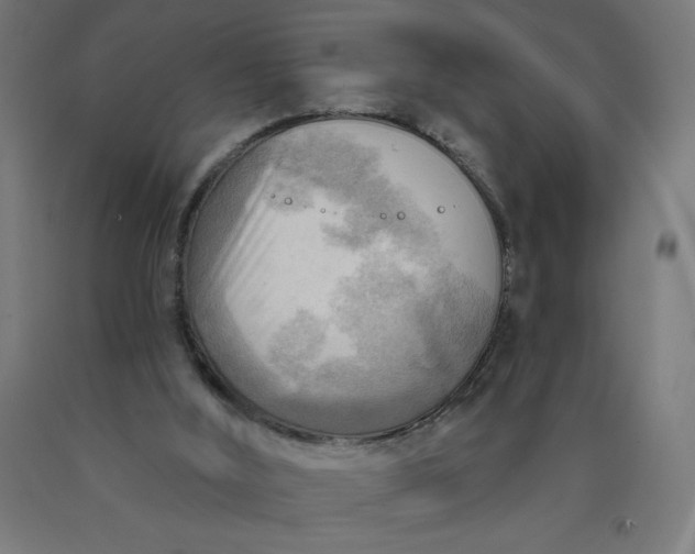 X0000090630012200707311315