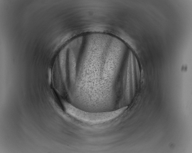 X0000090630013200707311315