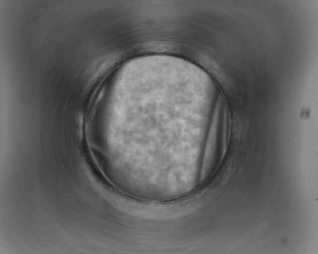 X0000090630014200707311315