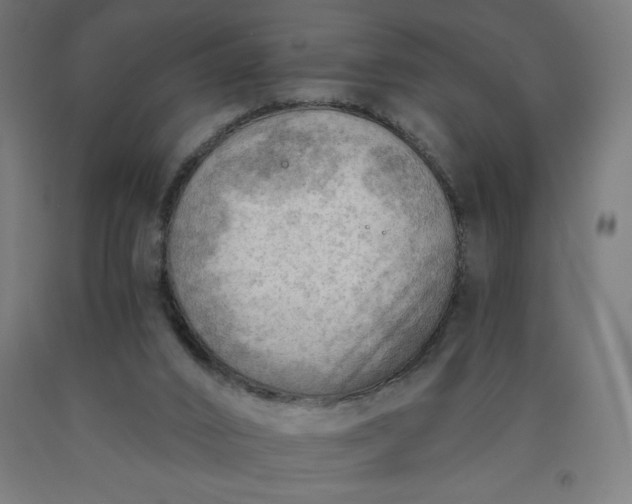X0000090630016200707311315