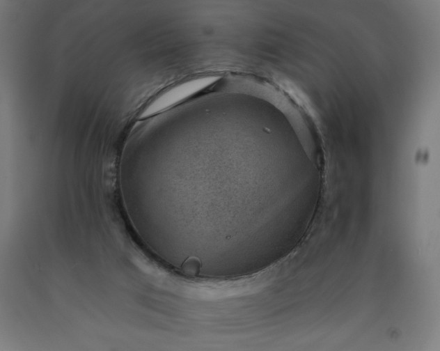 X0000090630017200707311315