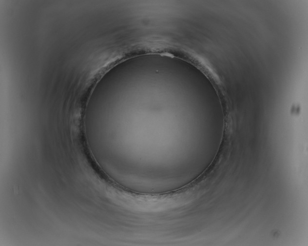 X0000090630018200707311315