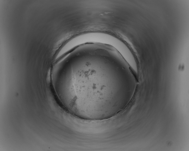 X0000090630019200707311315