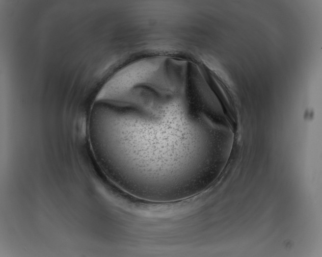 X0000090630021200707311315
