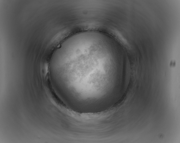 X0000090630022200707311315