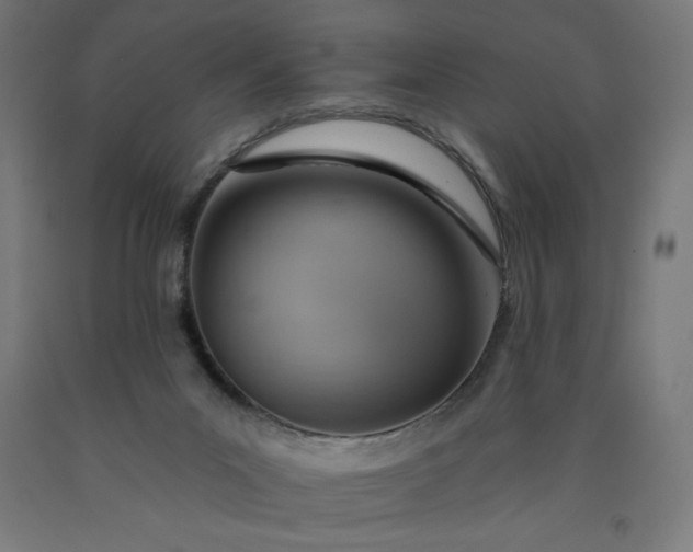 X0000090630023200707311315