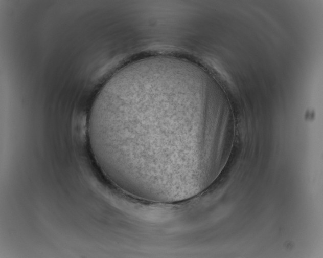 X0000090630024200707311315
