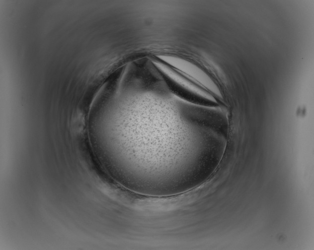 X0000090630025200707311315