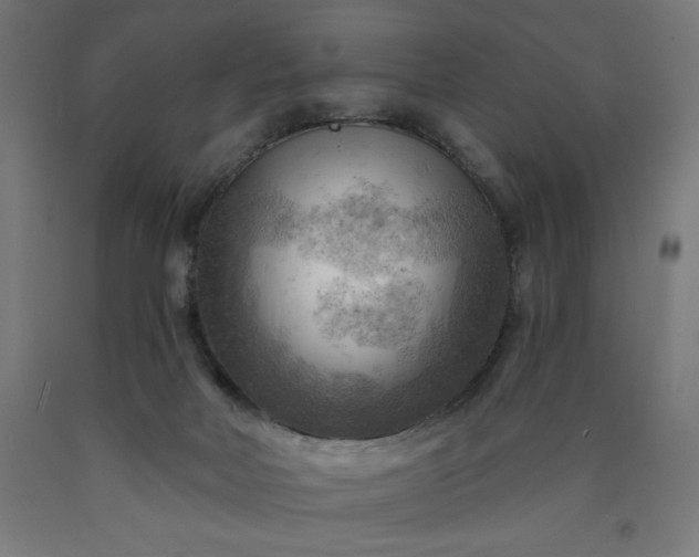 X0000090630026200707311315
