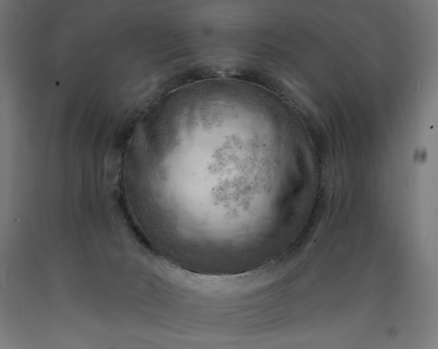 X0000090630030200707311315