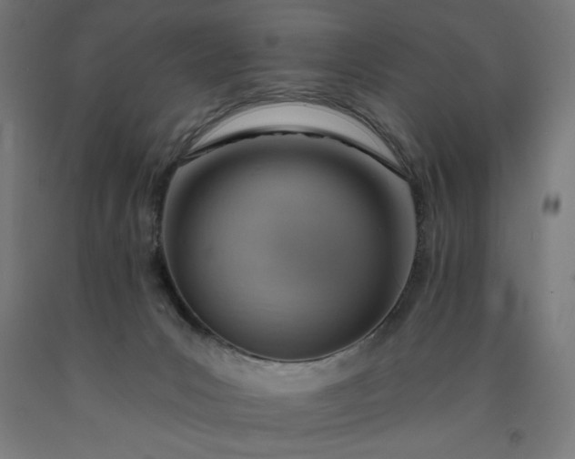 X0000090630031200707311315