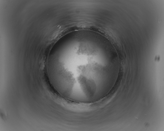 X0000090630032200707311315