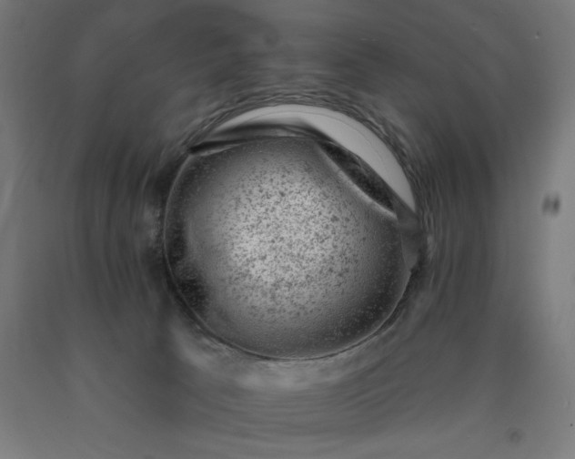 X0000090630033200707311315