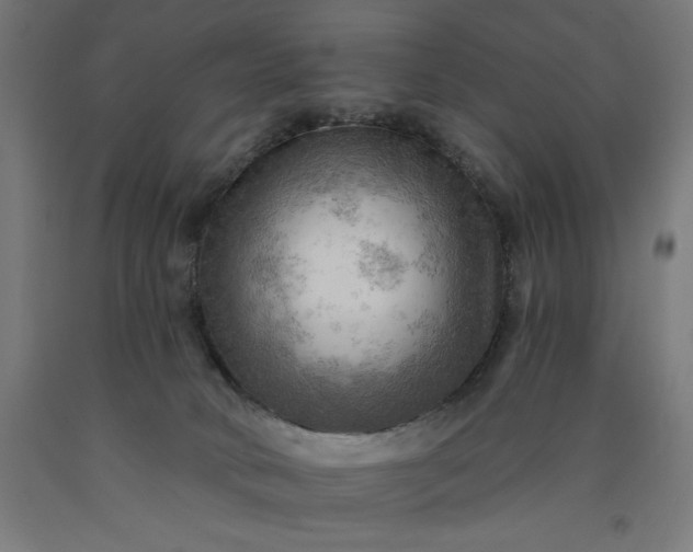 X0000090630034200707311315