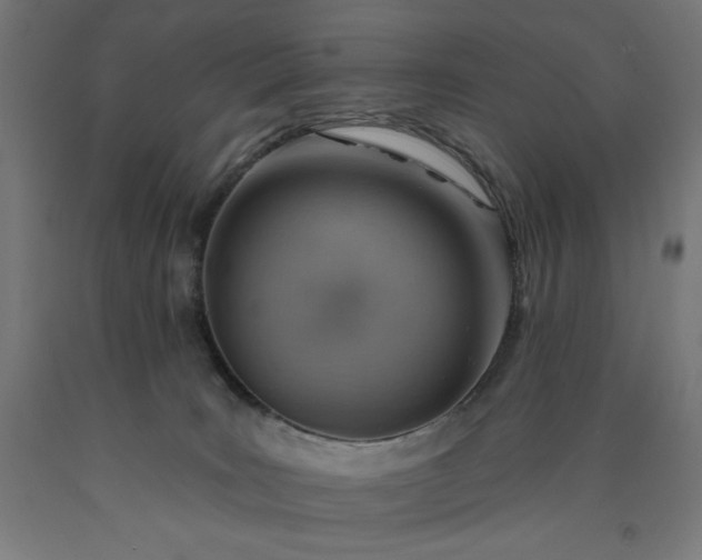 X0000090630035200707311315