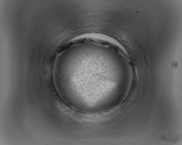 X0000090630037200707311315