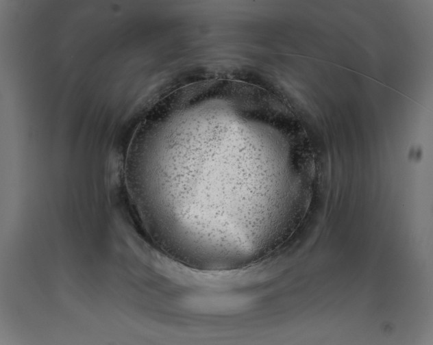 X0000090630038200707311315