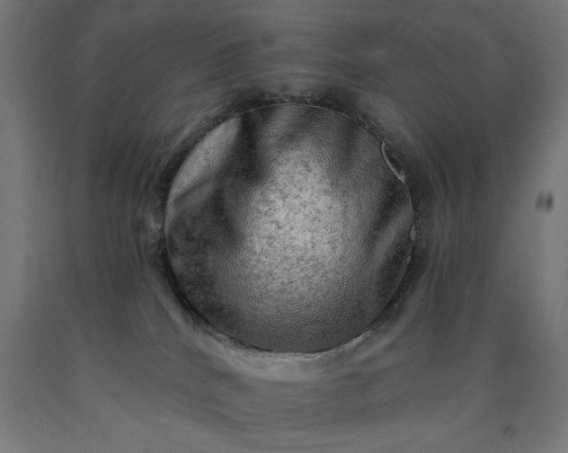 X0000090630040200707311315