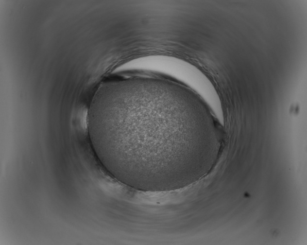 X0000090630041200707311315