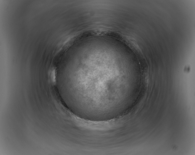 X0000090630042200707311315