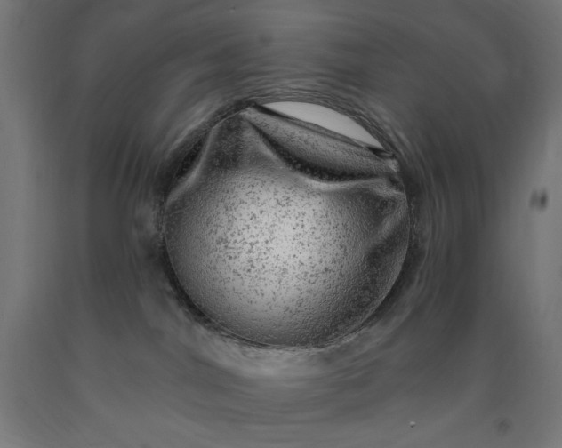X0000090630044200707311315