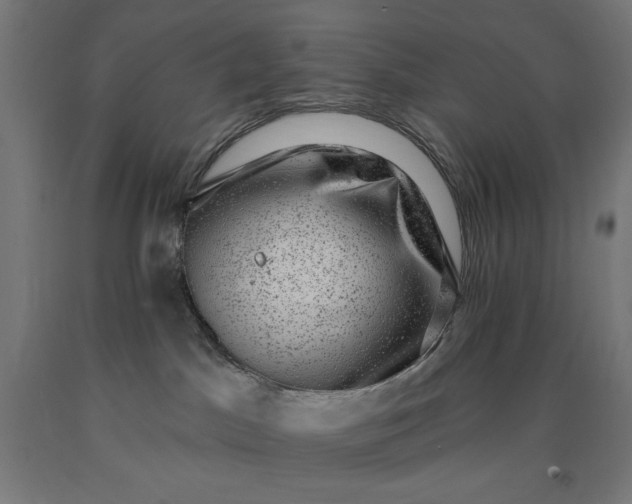 X0000090630045200707311315