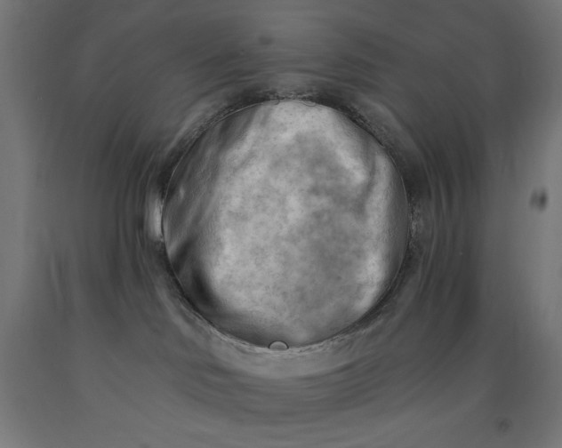 X0000090630046200707311314