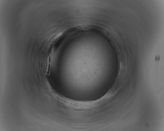 X0000090630048200707311314