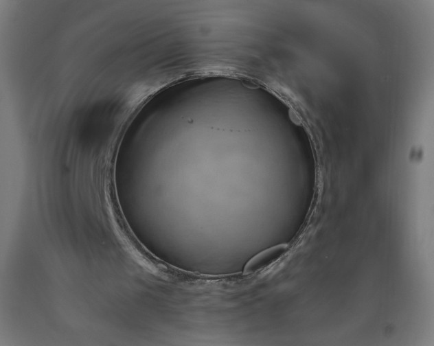 X0000090630049200707311314