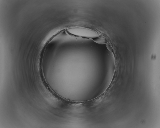 X0000090630054200707311314