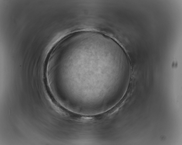 X0000090630055200707311314