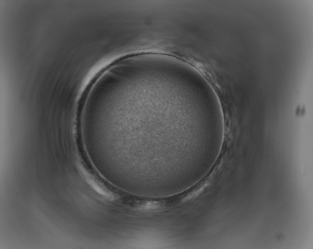 X0000090630056200707311314