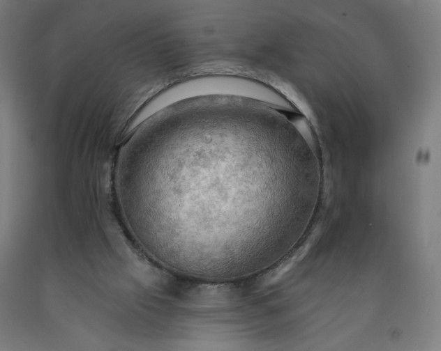 X0000090630057200707311314