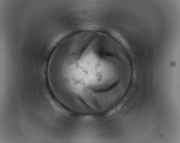 X0000090630058200707311314
