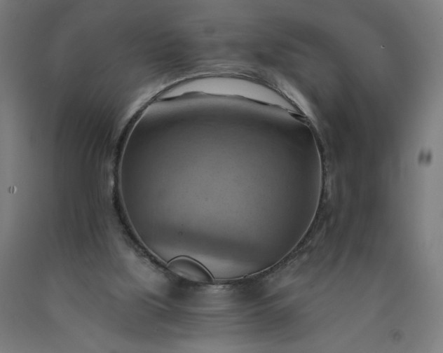 X0000090630059200707311314