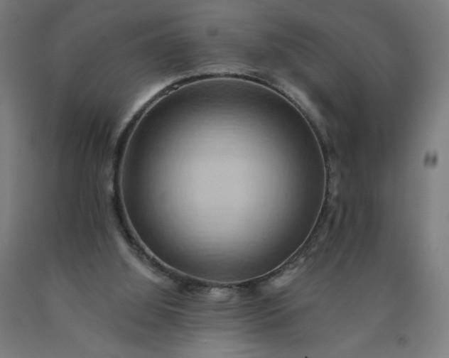 X0000090630060200707311314