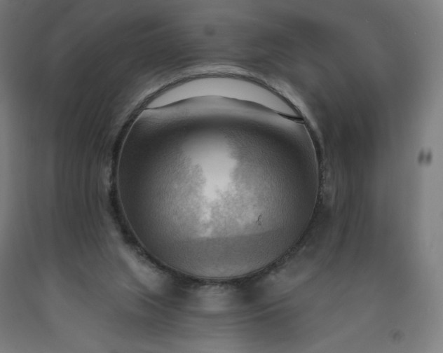 X0000090630063200707311314