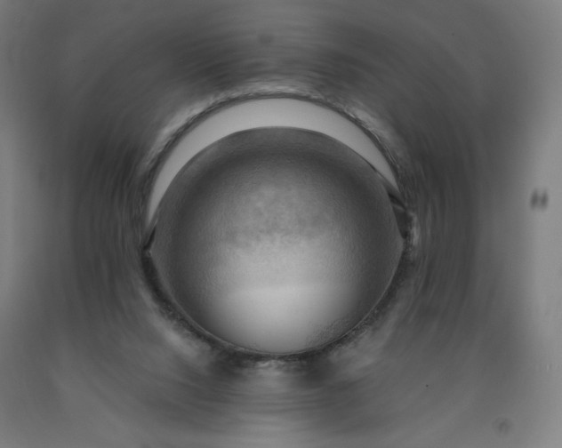 X0000090630064200707311314