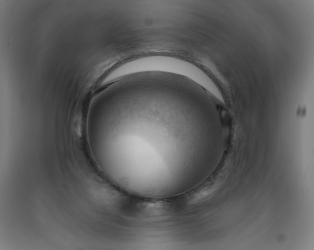 X0000090630068200707311314