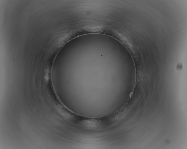 X0000090630069200707311314