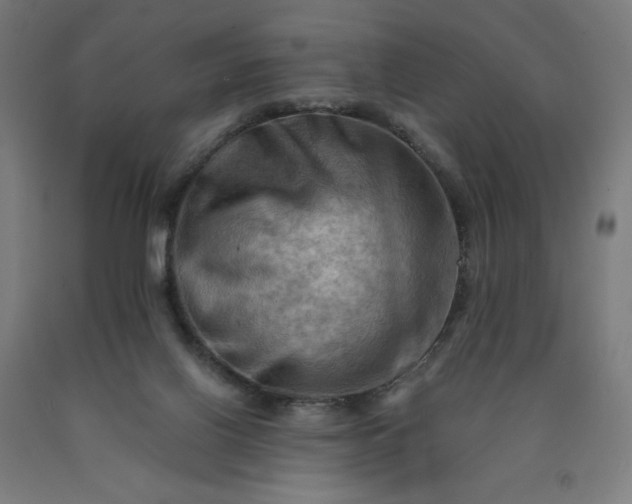 X0000090630070200707311314